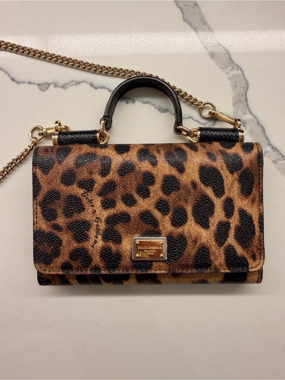 Dolce & Gabbana Leopard Print Mini Top-Handle WOC